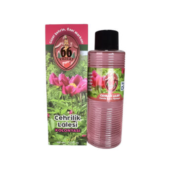 Cehrilik Lalesi Kolonyası - 400ml